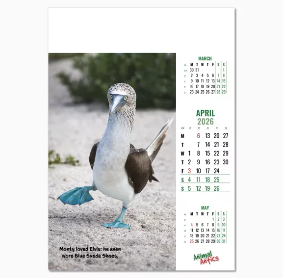100215-animal-antics-wall-calendar-april.png