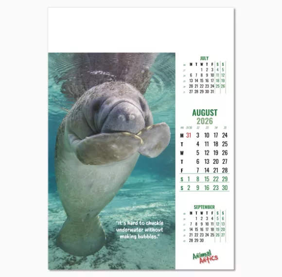 100215-animal-antics-wall-calendar-august.png