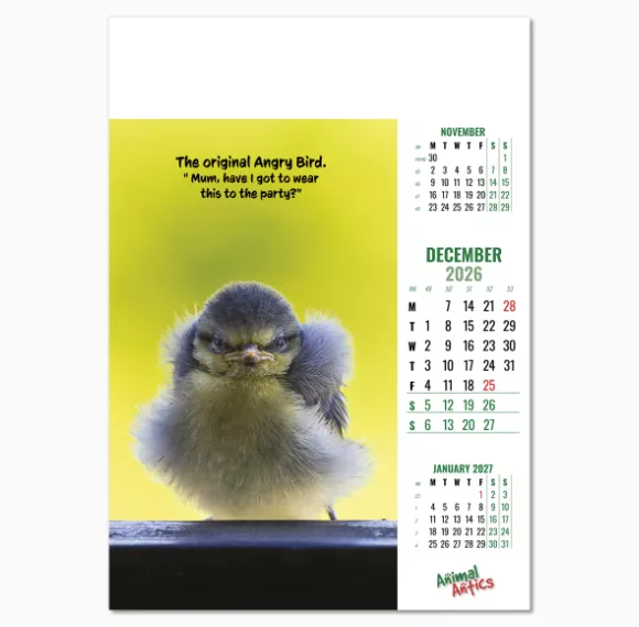 100215-animal-antics-wall-calendar-december.png