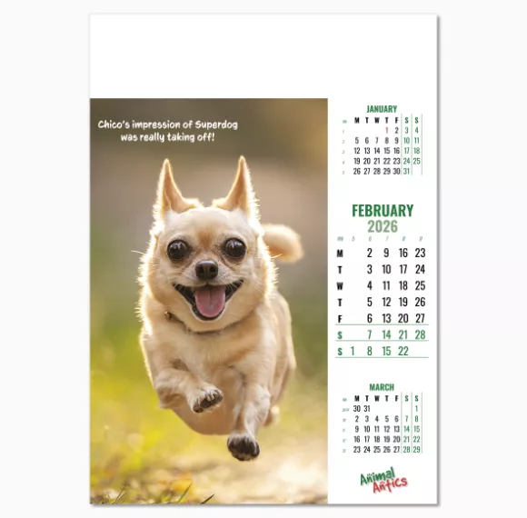 100215-animal-antics-wall-calendar-february.png