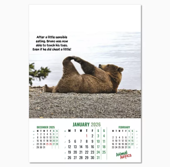 100215-animal-antics-wall-calendar-january.png
