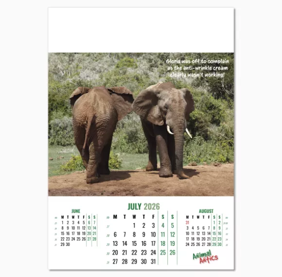 100215-animal-antics-wall-calendar-july.png
