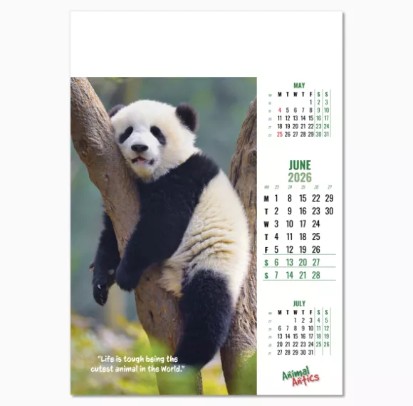 100215-animal-antics-wall-calendar-june.png