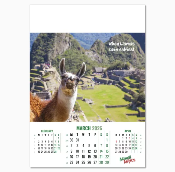 100215-animal-antics-wall-calendar-march.png