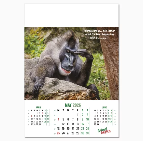 100215-animal-antics-wall-calendar-may.png