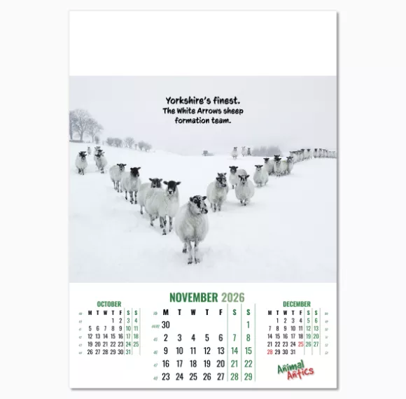100215-animal-antics-wall-calendar-november.png