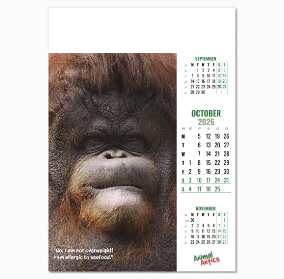 100215-animal-antics-wall-calendar-october.png
