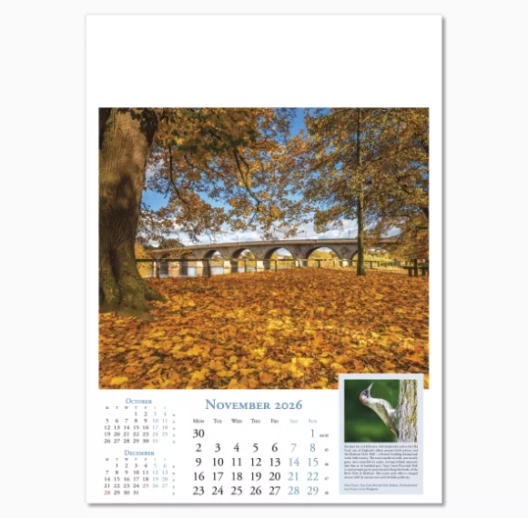 100615-beauty-of-britain-wall-calendar-november.png