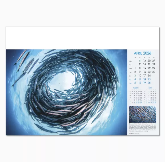 100815-blue-planet-wall-calendar-april.png
