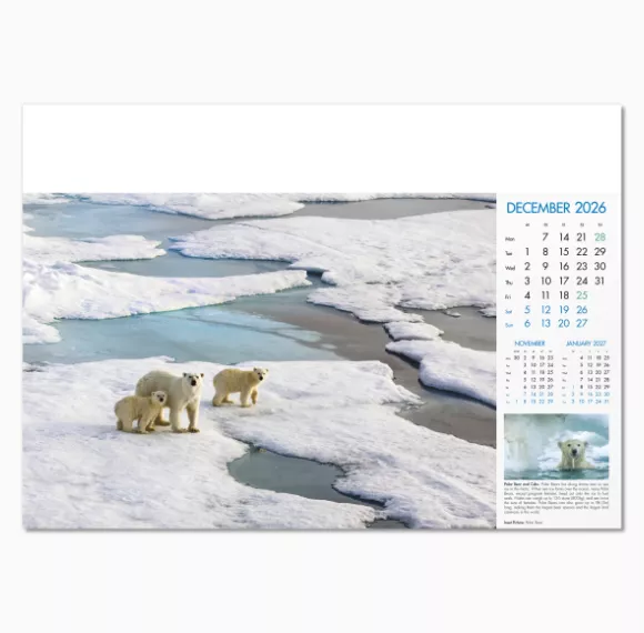 100815-blue-planet-wall-calendar-december.png