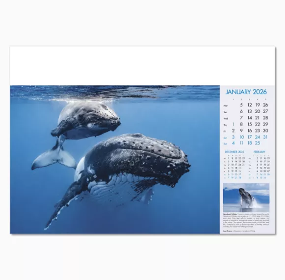 100815-blue-planet-wall-calendar-january.png