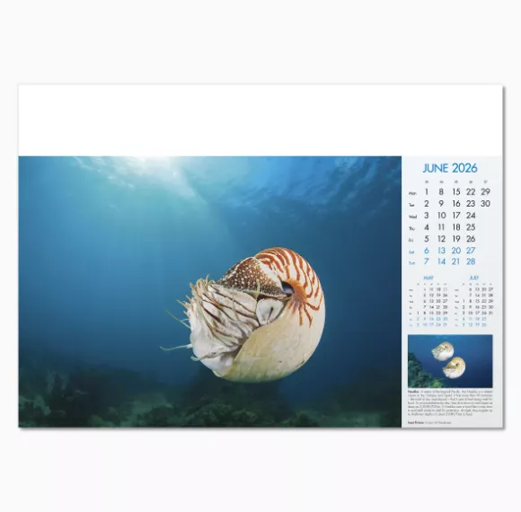 100815-blue-planet-wall-calendar-june.png