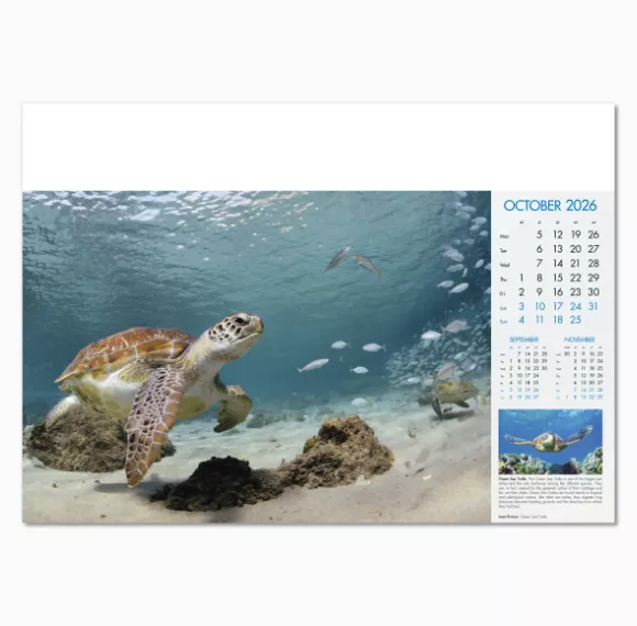 100815-blue-planet-wall-calendar-october.png