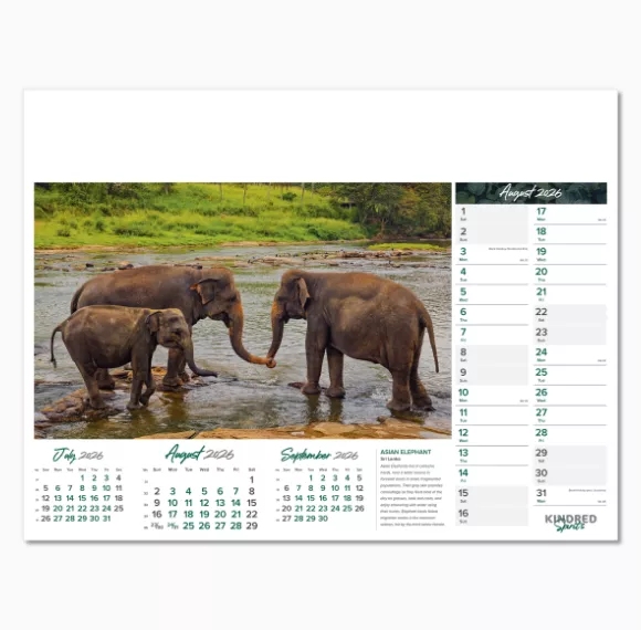 101015-kindred-spirits-wall-calendar-august.png