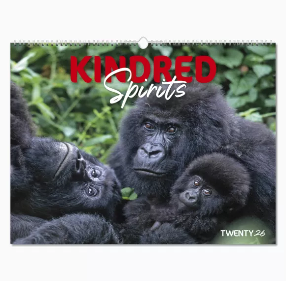 101015-kindred-spirits-wall-calendar-cover-wiro.png