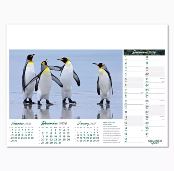 101015-kindred-spirits-wall-calendar-december.png