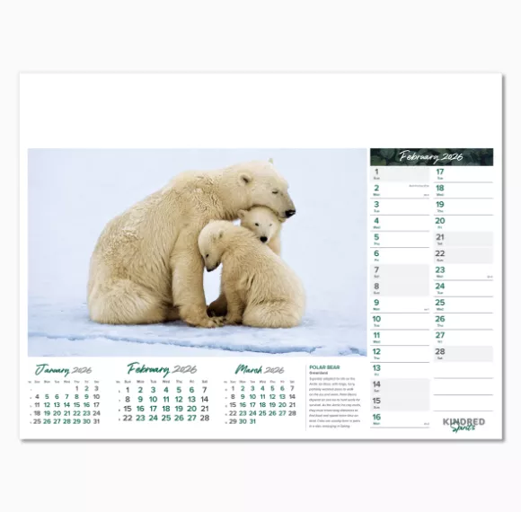 101015-kindred-spirits-wall-calendar-february.png