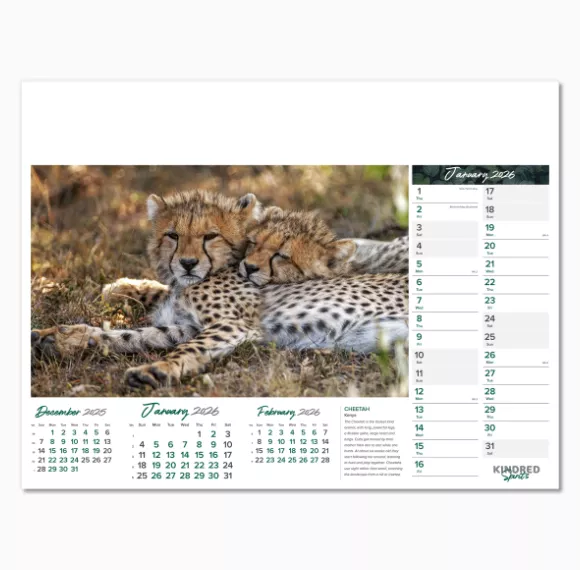 101015-kindred-spirits-wall-calendar-january.png