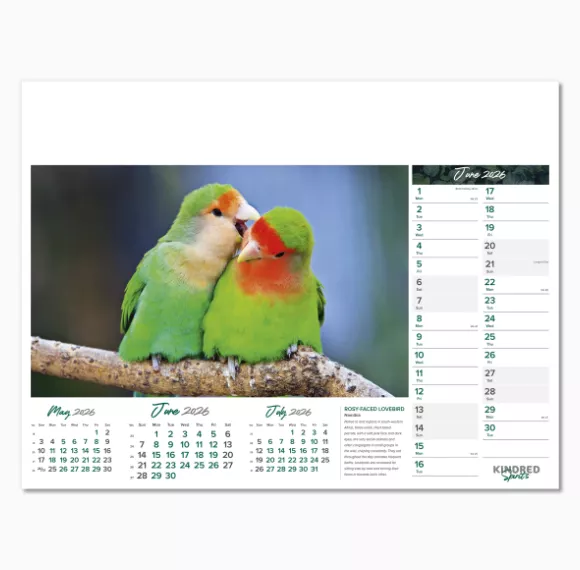 101015-kindred-spirits-wall-calendar-june.png