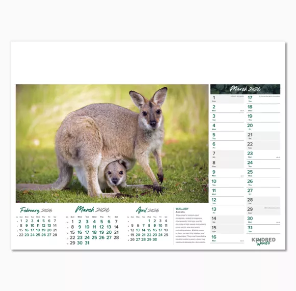 101015-kindred-spirits-wall-calendar-march.png