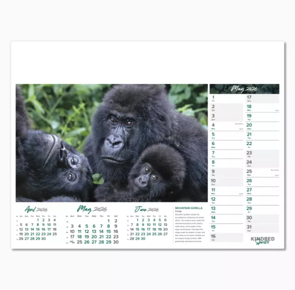 101015-kindred-spirits-wall-calendar-may.png