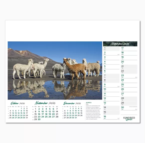 101015-kindred-spirits-wall-calendar-november.png