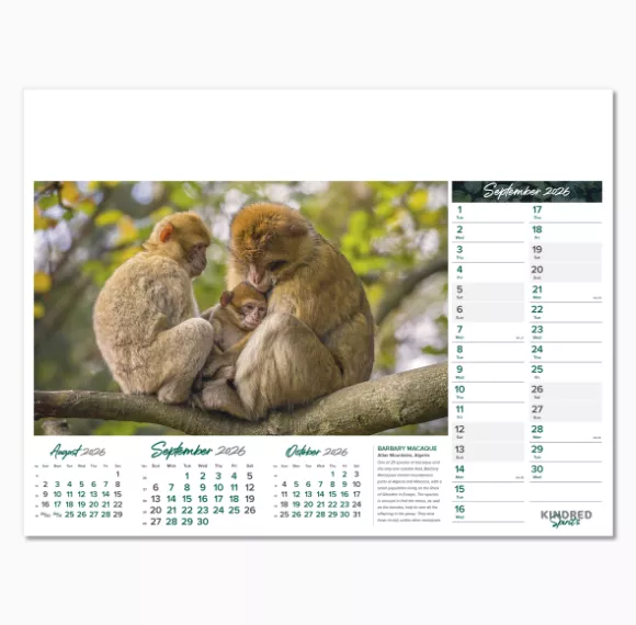 101015-kindred-spirits-wall-calendar-september.png
