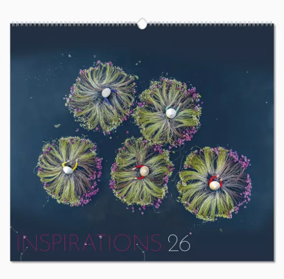 105115-inspirations-wall-calendar-cover-wiro.png