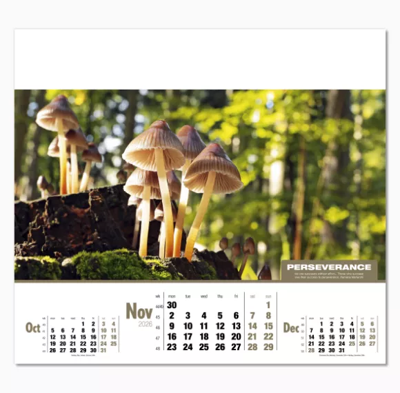 105115-inspirations-wall-calendar-november.png