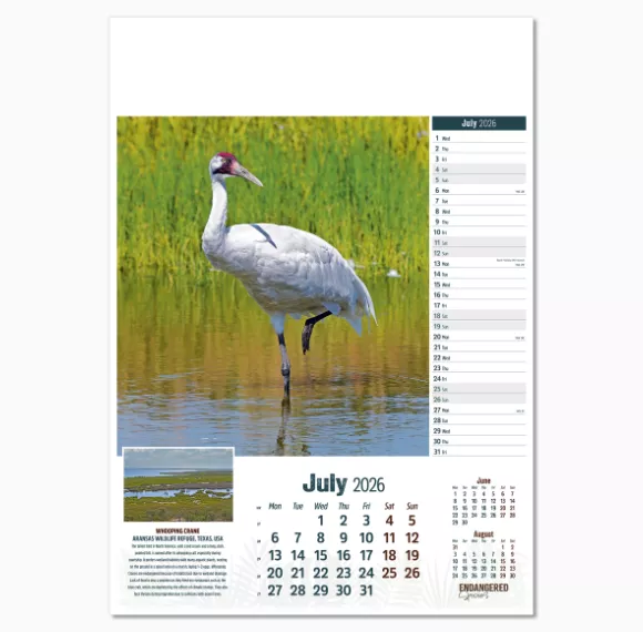110315-endangered-species-wall-calendar-july.png