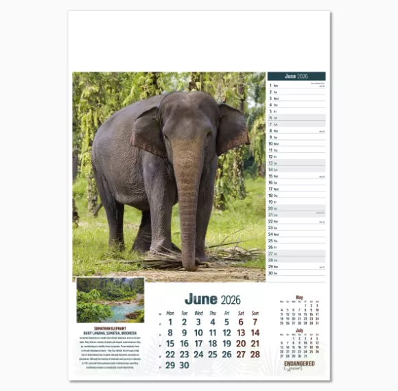 110315-endangered-species-wall-calendar-june.png