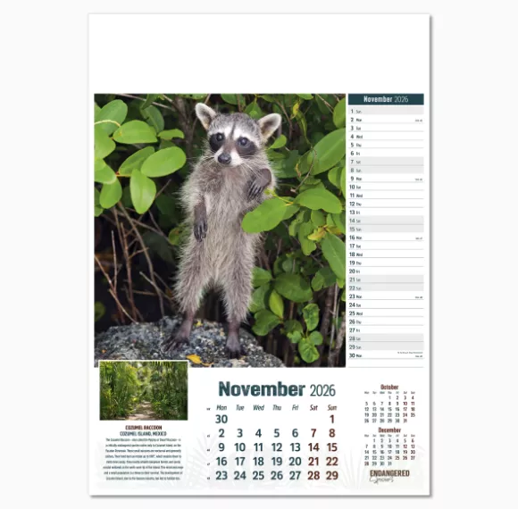 110315-endangered-species-wall-calendar-november.png
