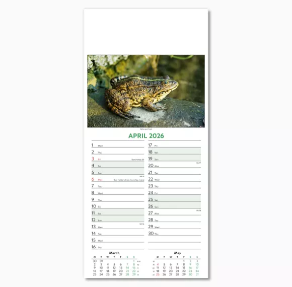 110415-wildlife-wall-calendar-april.png