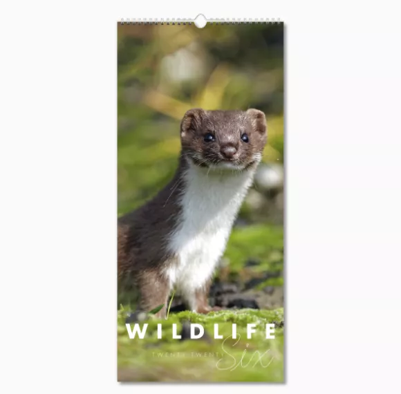 110415-wildlife-wall-calendar-cover-wiro.png