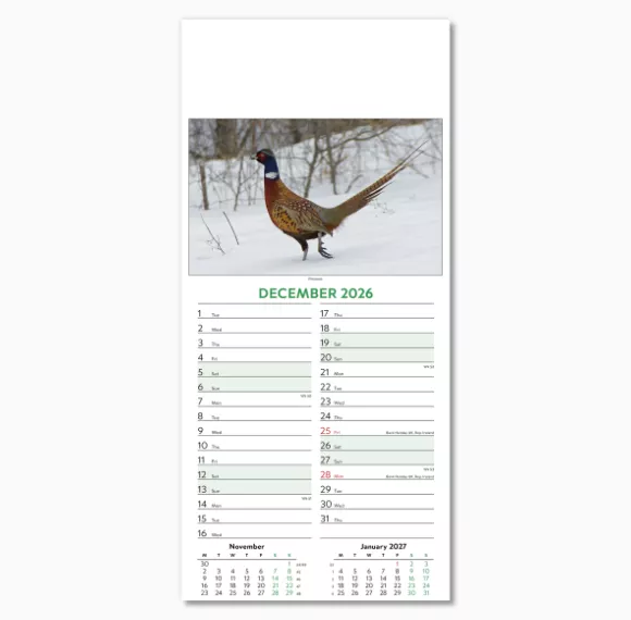 110415-wildlife-wall-calendar-december.png