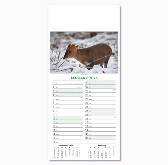 110415-wildlife-wall-calendar-january.png