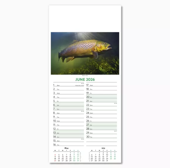 110415-wildlife-wall-calendar-june.png