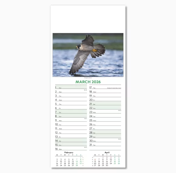 110415-wildlife-wall-calendar-march.png