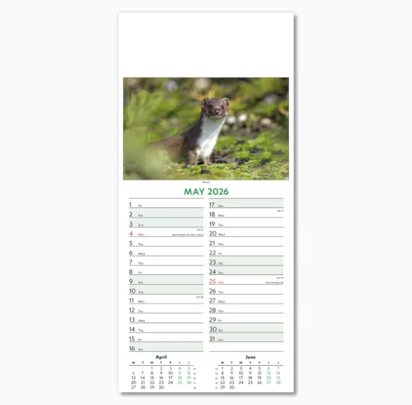 110415-wildlife-wall-calendar-may.png