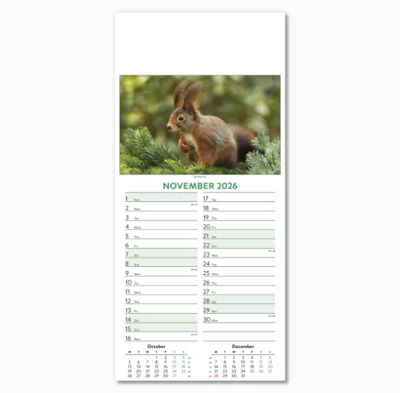 110415-wildlife-wall-calendar-november.png