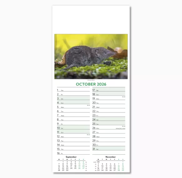 110415-wildlife-wall-calendar-october.png