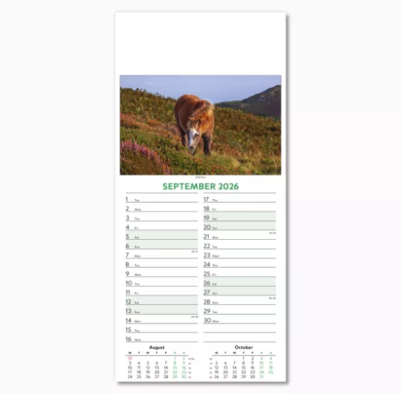 110415-wildlife-wall-calendar-september.png