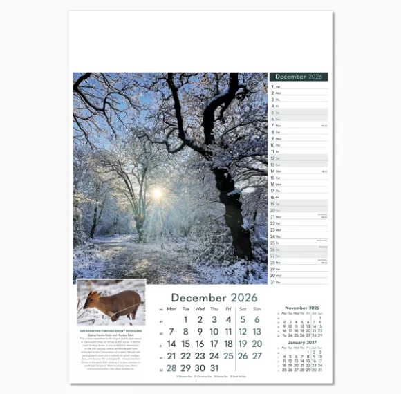 110515-wonders-of-nature-wall-calendar-december.png