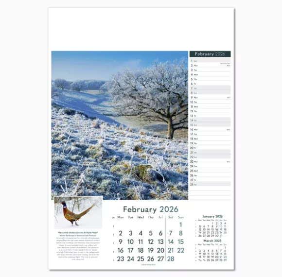 110515-wonders-of-nature-wall-calendar-february.png