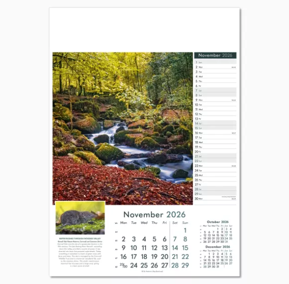 110515-wonders-of-nature-wall-calendar-november.png