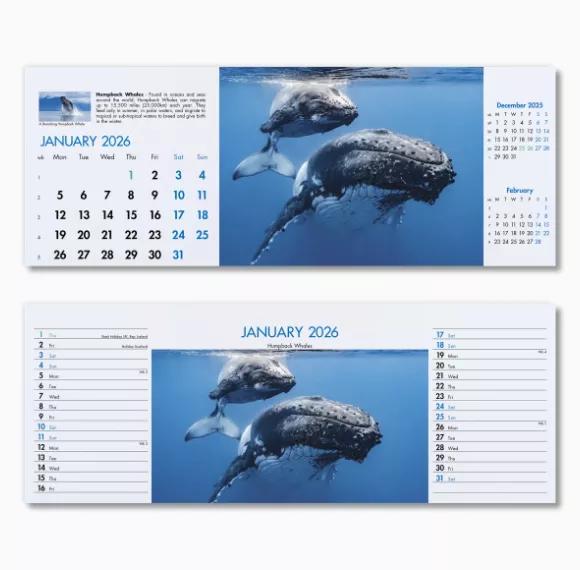 200115-blue-planet-desk-calendar-january.png