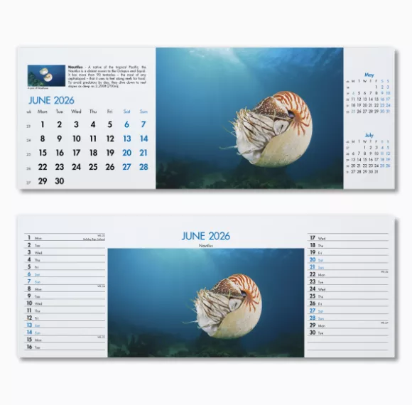 200115-blue-planet-desk-calendar-june.png
