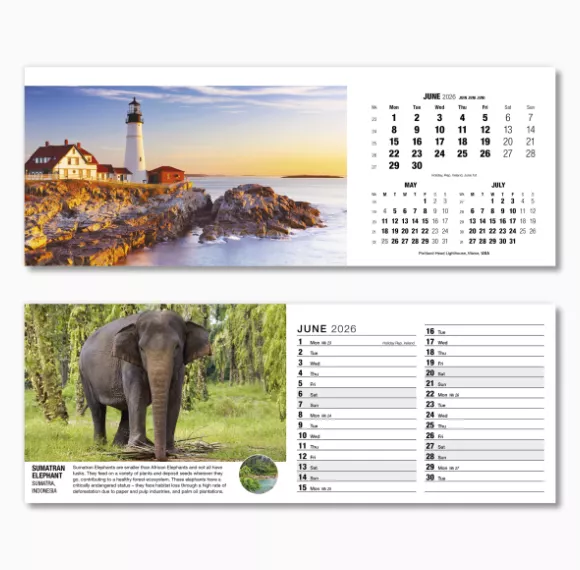 201015-our-world-in-trust-desk-calendar-june.png