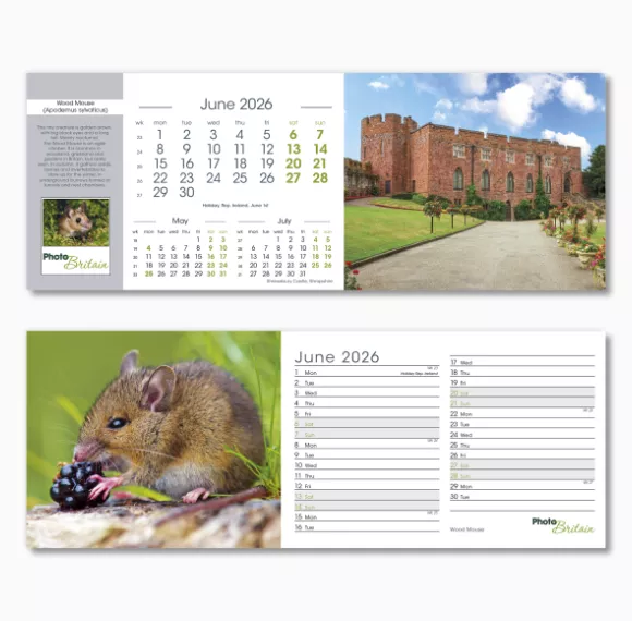 201115-photo-britain-desk-calendar-june.png