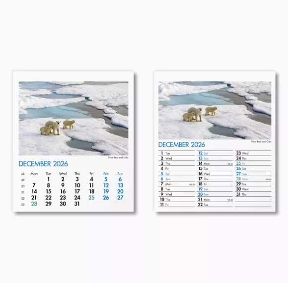 300015-blue-planet-mini-desk-calendar-december.png